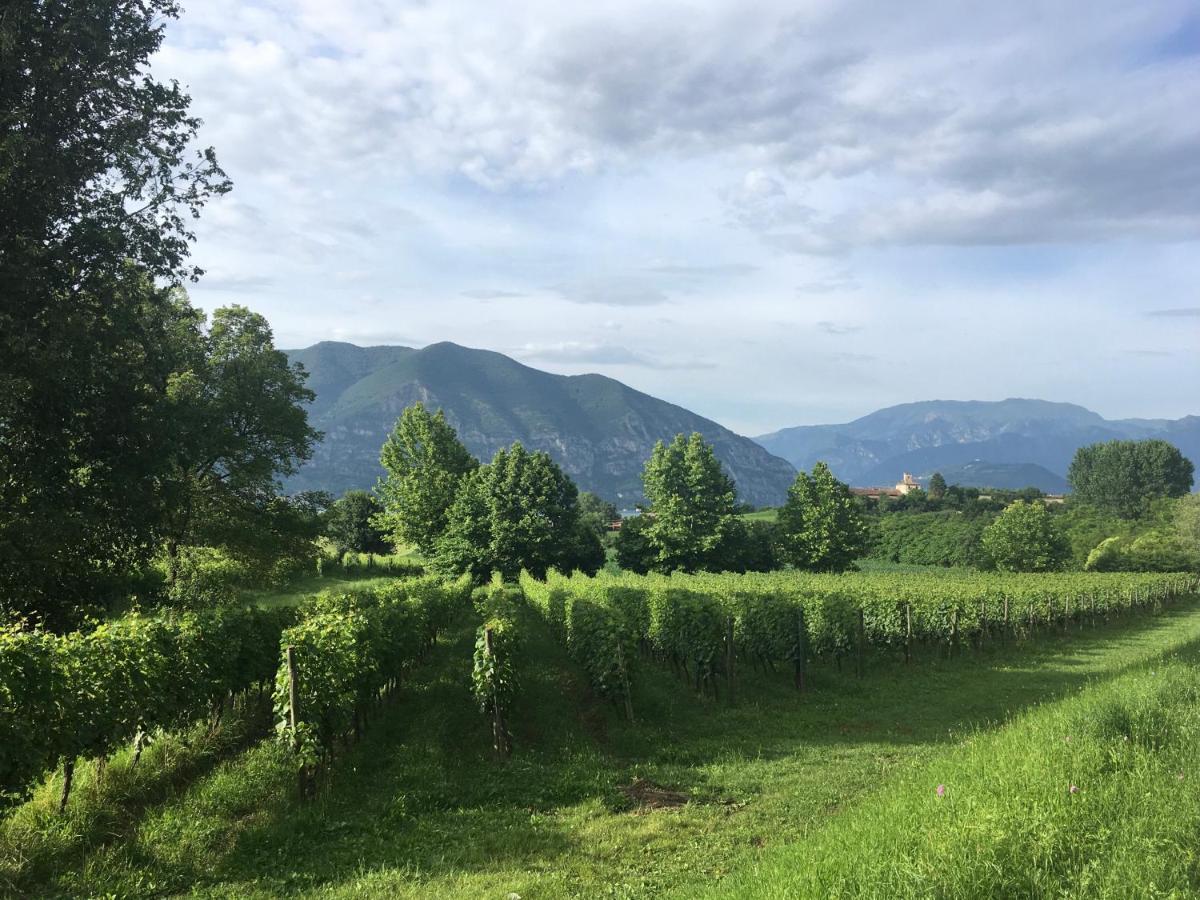 Holiday Home Punta D'Oro With Garden, Parking Place And Lake Access At 300 M Iseo Esterno foto