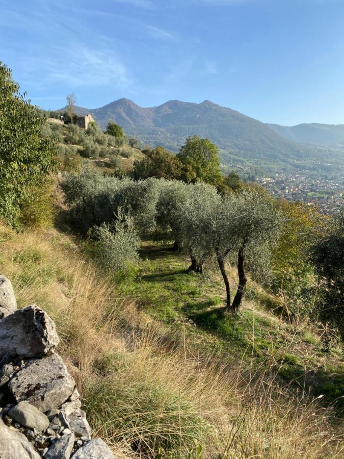 Holiday Home Punta D'Oro With Garden, Parking Place And Lake Access At 300 M Iseo Esterno foto
