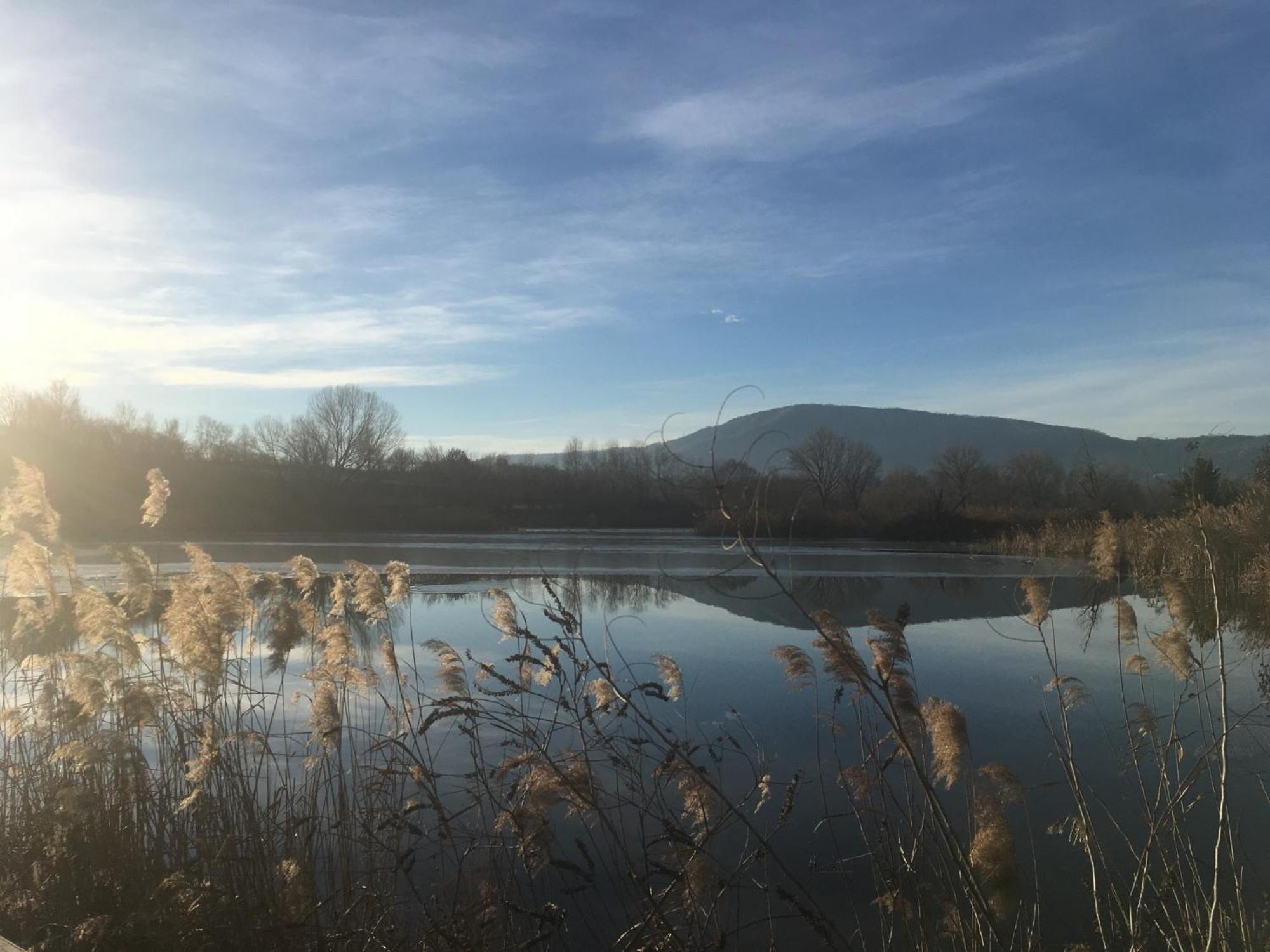 Holiday Home Punta D'Oro With Garden, Parking Place And Lake Access At 300 M Iseo Esterno foto