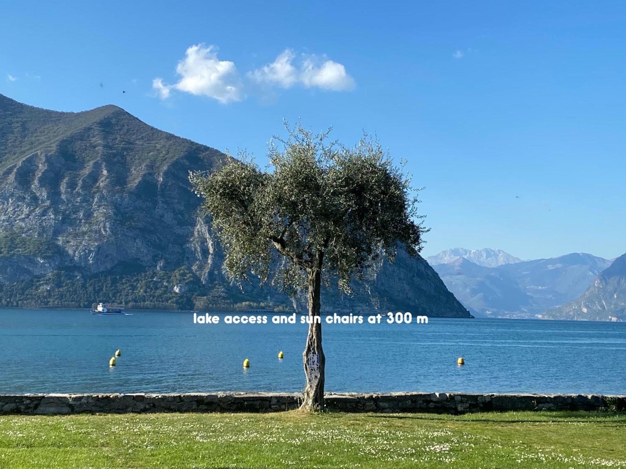 Holiday Home Punta D'Oro With Garden, Parking Place And Lake Access At 300 M Iseo Esterno foto
